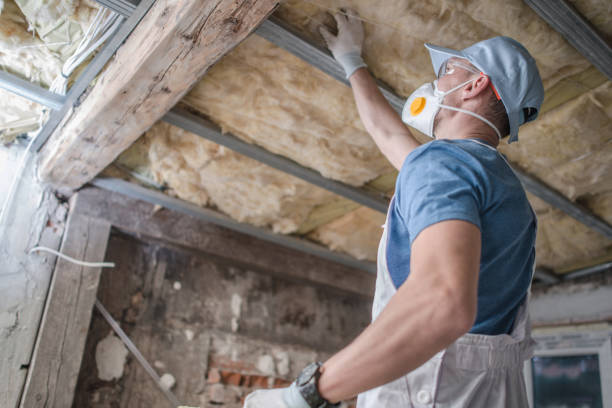Best Spray Foam Insulation in Mont Clare, PA